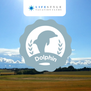 Horizon - Dolphin Week
