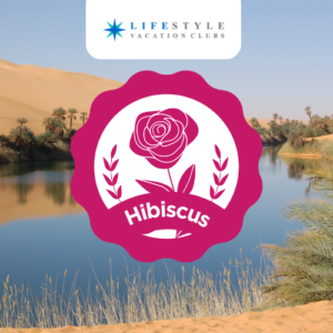 Oasis - Hibiscus Week