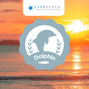 Sunset - Dolphin Week