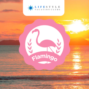 Sunset - Flamingo Week